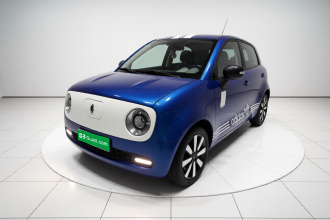 欧拉黑猫 2019款 351km 亲子版