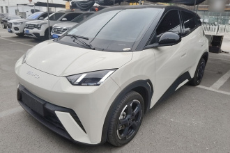 比亚迪 海鸥 2023款 飞翔版