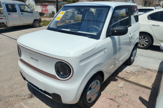 吉利银河 2024款 熊猫mini 200km 耐力熊