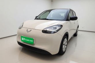 五菱汽车 五菱缤果 2023款 203km 轻享款