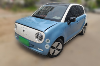 欧拉黑猫 2019款 301km 标准版