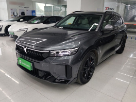 岚图汽车 岚图FREE 2025款 318 318km 后驱环游版