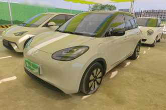 五菱汽车 五菱缤果 2023款 333km 灵犀互联款