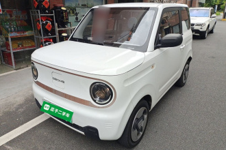 吉利银河 2023款 熊猫mini 200km 灵动熊