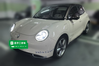 欧拉好猫 2021款 400km标准续航 雅典娜版 磷酸铁锂