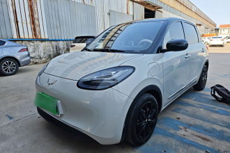 五菱汽车 五菱缤果 2024款 333km 悦享款