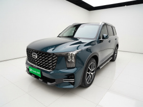 广汽传祺 传祺GS8 2022款 领航系列 2.0TGDI 两驱豪华智联版（七座）