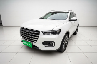 哈弗H6 2020款 1.5GDIT 自动铂金豪华版