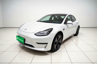特斯拉 Model 3 2020款 长续航后轮驱动版