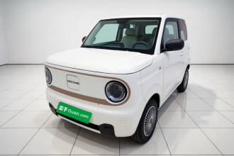 吉利银河 2023款 熊猫mini 200km 耐力熊