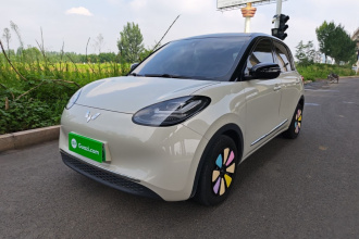 五菱汽车 五菱缤果 2023款 203km 舒享款