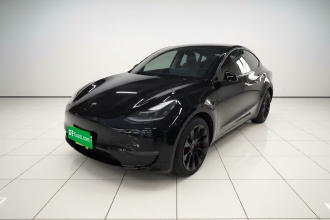 特斯拉 Model Y 2021款 长续航全轮驱动版