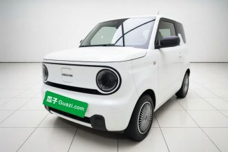 吉利银河 2024款 熊猫mini 200km 耐力熊