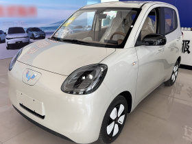 五菱汽车 宏光MINIEV 2025款 两门版