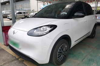 五菱汽车 五菱缤果 2024款 203km 轻享款