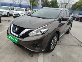 日产 楼兰 2019款 2.5L XL 两驱智联豪华版 国VI