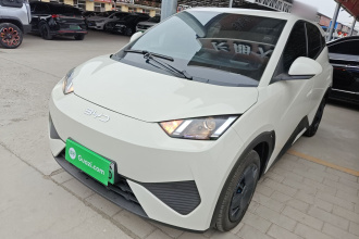 比亚迪 海鸥 2025款 智驾版 305km 活力版