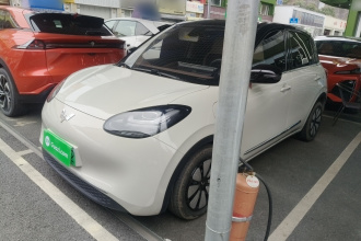 五菱汽车 五菱缤果 2023款 333km 悦享+款