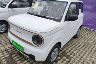 吉利银河 2024款 熊猫mini 200km 耐力熊