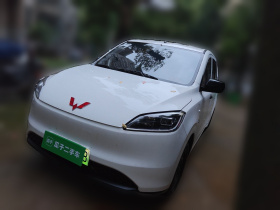 五菱汽车 五菱宏光新能源 2024款 纯电版 300KM 标准型