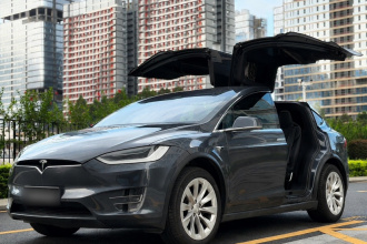 特斯拉 Model X 2019款 长续航版