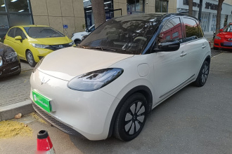 五菱汽车 五菱缤果 2024款 333km 悦享款