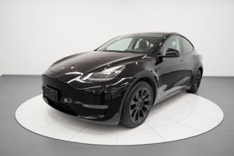 特斯拉 Model Y 2021款 标准续航后驱版