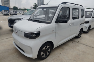 五菱汽车 五菱之光新能源 2025款 305km 进取型