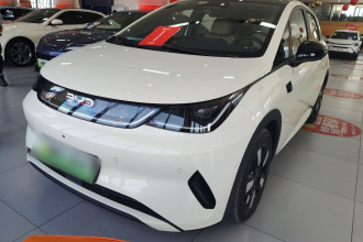 比亚迪 海豚 2025款 智驾版 410km 时尚版