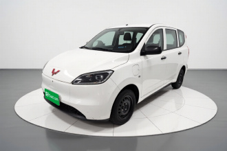 五菱汽车 五菱宏光新能源 2024款 纯电版 300KM 标准型