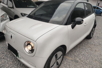 欧拉黑猫 2021款 301km 基础型