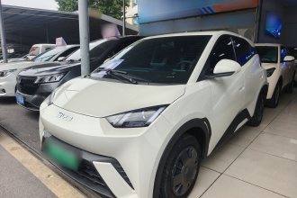 比亚迪 海鸥 2025款 305km 活力版