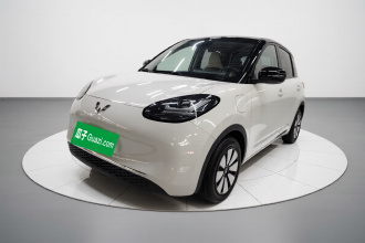 五菱汽车 五菱缤果 2024款 333km 悦享款