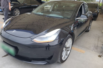 特斯拉 Model 3 2020款 标准续航后驱升级版