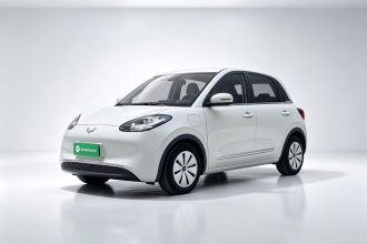 五菱汽车 五菱缤果 2023款 333km 快享款