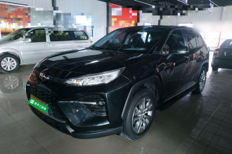 丰田 威兰达 2021款 2.0L CVT四驱豪华版