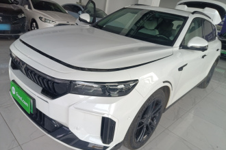 岚图汽车 岚图FREE 2025款 318 318km 后驱环游版