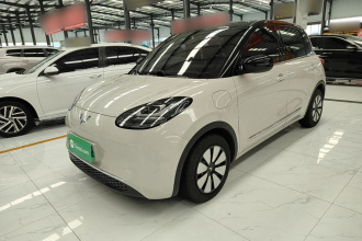 五菱汽车 五菱缤果 2024款 333km 悦享款