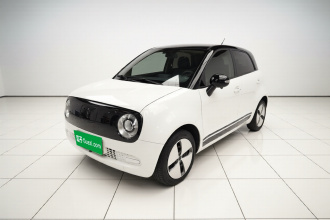 欧拉黑猫 2021款 301km 基础型