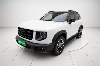 哈弗大狗 2021款 1.5T DCT两驱边牧版
