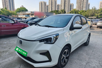 长安 奔奔E-Star 2022款 清心版 多彩款 磷酸铁锂