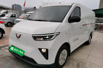 五菱汽车 五菱扬光 2024款 300km 舒适型封窗版 60kW