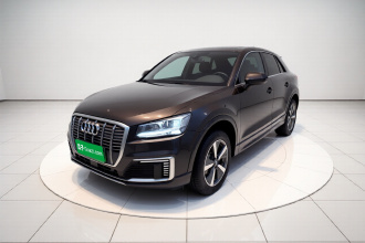 奥迪Q2L e-tron 2019款 Q2L e-tron 纯电智酷型