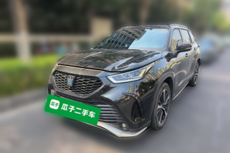 丰田 皇冠陆放 2023款 2.5L HEV四驱尊贵版