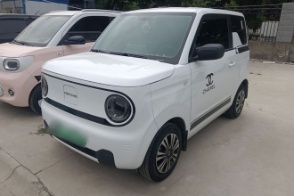 吉利银河 2024款 熊猫mini 200km 耐力熊