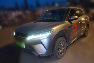 比亚迪 元UP 2024款  401KM 活力版