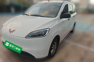 五菱汽车 五菱宏光新能源 2024款 纯电版 300KM 标准型
