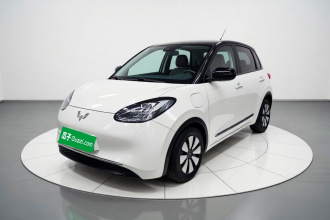 五菱汽车 五菱缤果 2023款 333km 灵犀互联+款