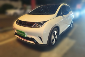 比亚迪 海豚 2023款 420km 时尚版