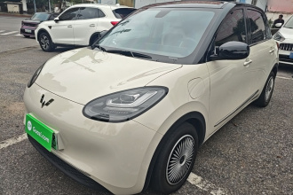 五菱汽车 五菱缤果 2023款 410km 灵犀尊享款